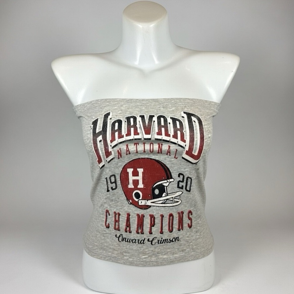Harvard Gray Crop Top
